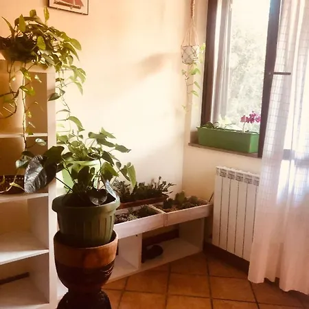 Апартаменты Casa Leccino Ravigliano